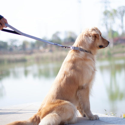 Pets 24 Inches Heavy Duty Short Leash with Comfortable Handle and Lightweight Aviation Aluminium Clip Lead- for Large Medium Dogs Daily Walking and Training. (Sleet Gray)